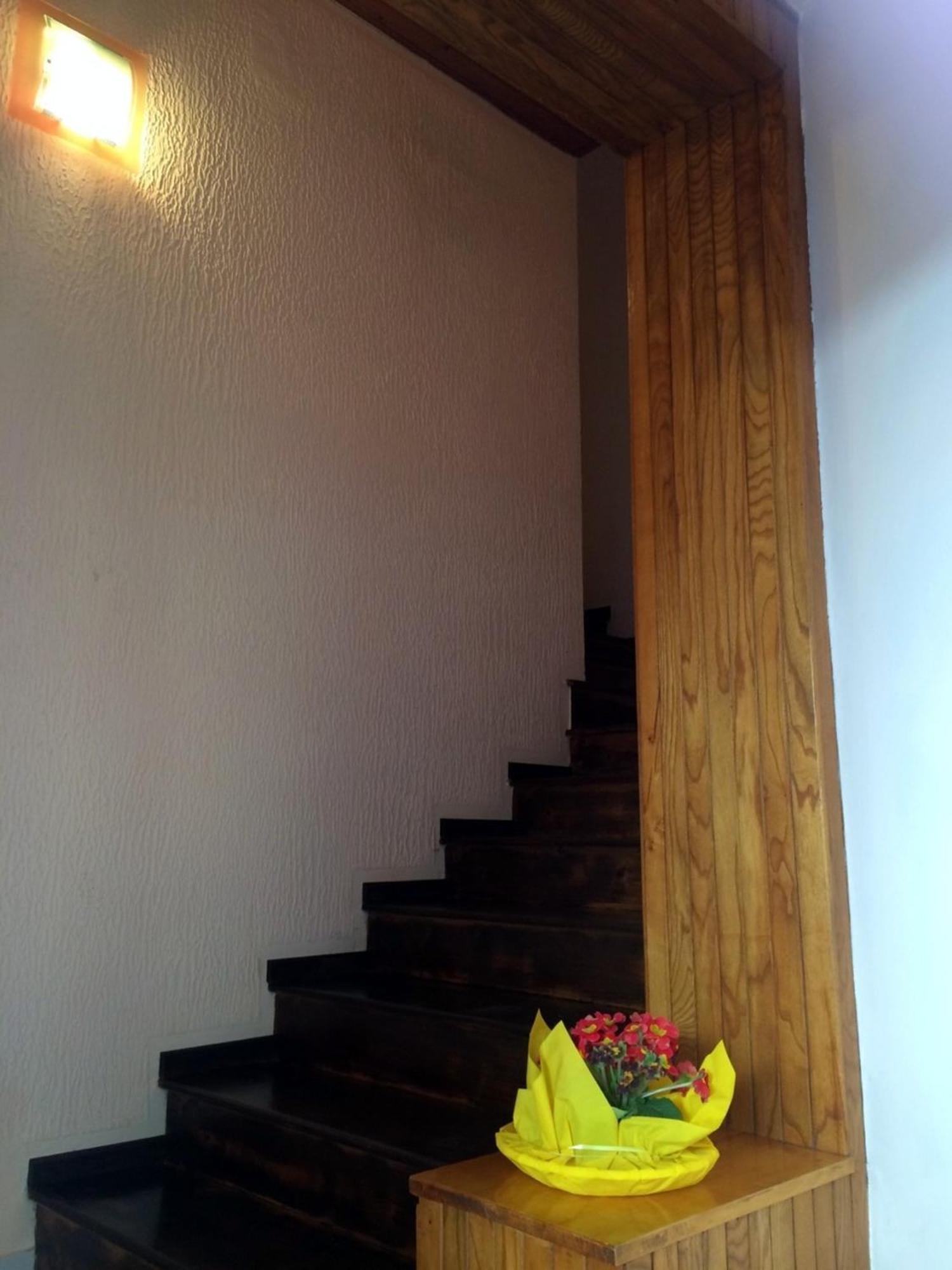 Apartments Neno Умаг Екстериор снимка